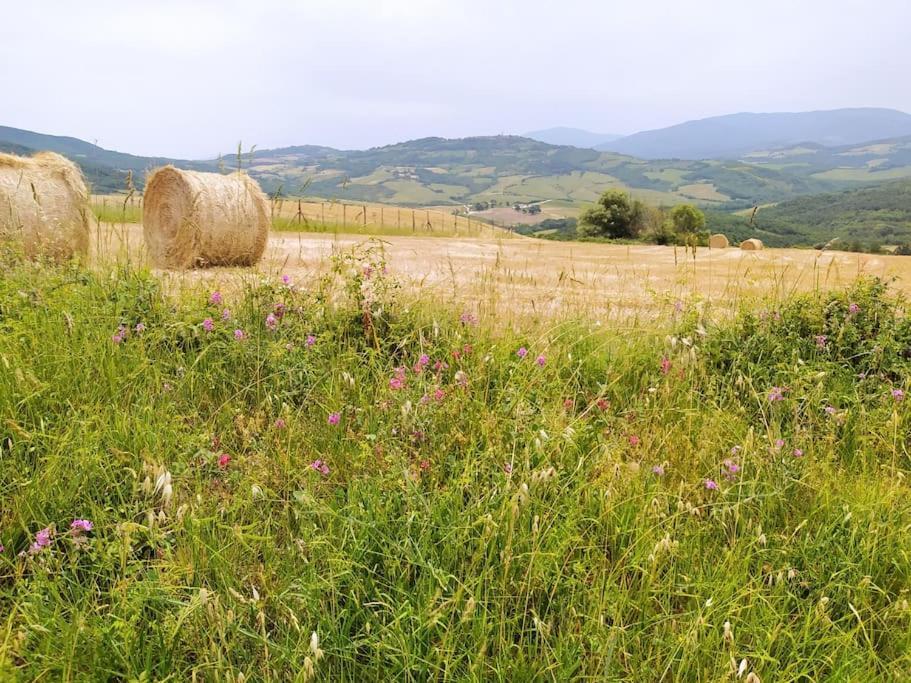 Casa Contadina In Borgo Medievale, Tuscany Monteguidi Екстериор снимка